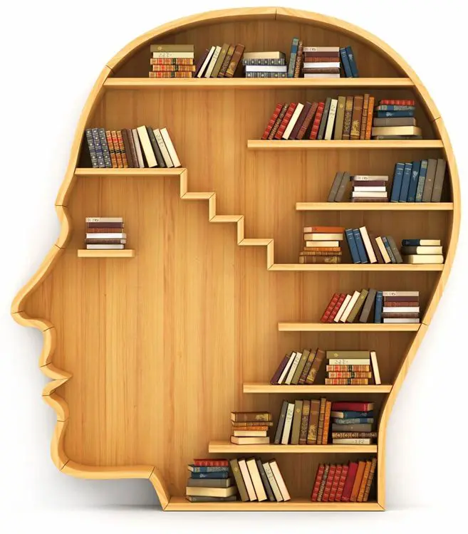 Wooden bookshelf in form of man head