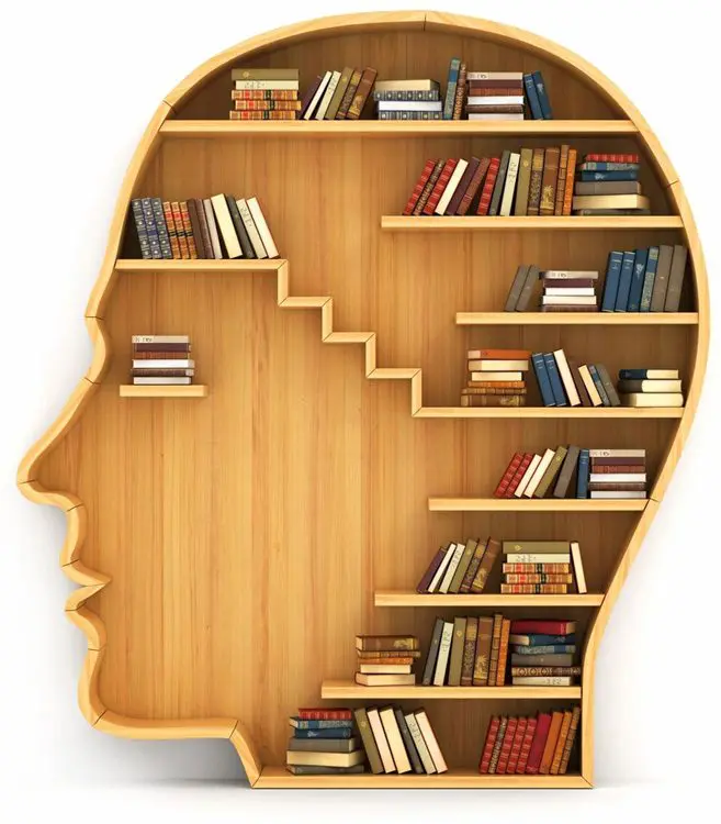 A wooden head with books on the shelves.