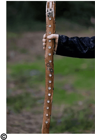 A person holding onto a stick with white dots.